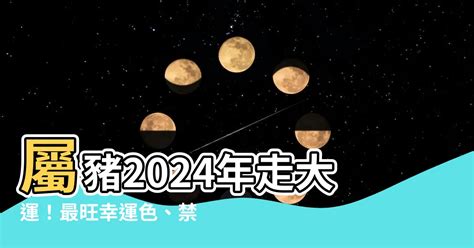 屬豬的幸運色|【屬豬 顏色】速查2024屬豬運勢指南：幸運色、財位、禁忌